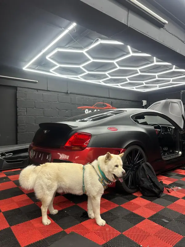 Car Wrapping Results Portfolio by Go4Detailz